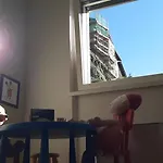 Mari فيلة *