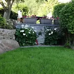 Mari فيلة ديرفيو