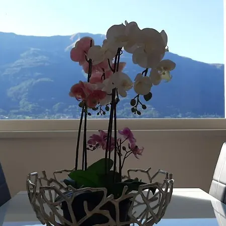 Mari Dervio