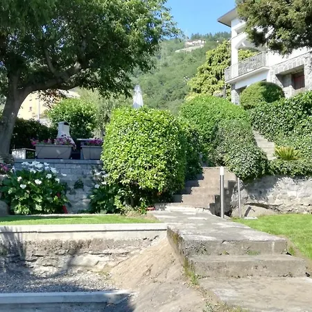 Mari *
